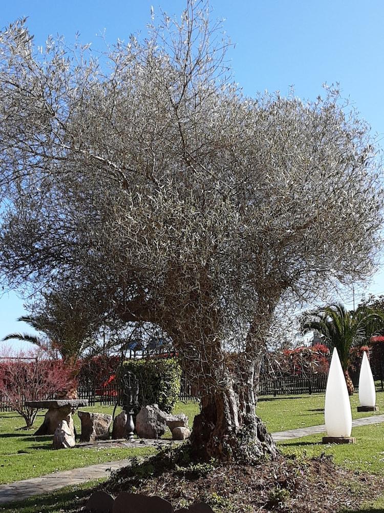 Hotel Marques De La Moral Naveces Eksteriør billede